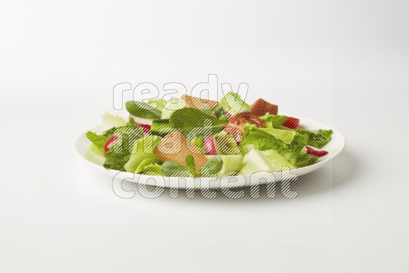 fattoush salad in a white plate direct on a white background