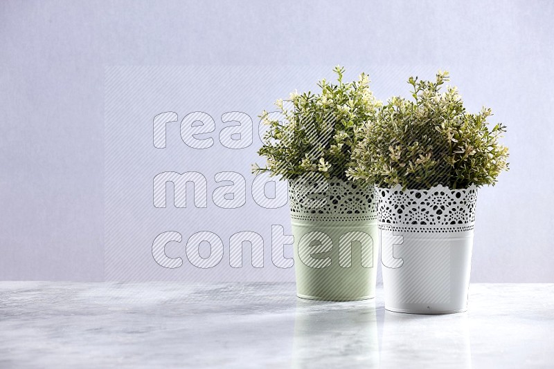 Two Artificial Plants in decorative pots on Light Grey Marble Flooring 15 degree angle