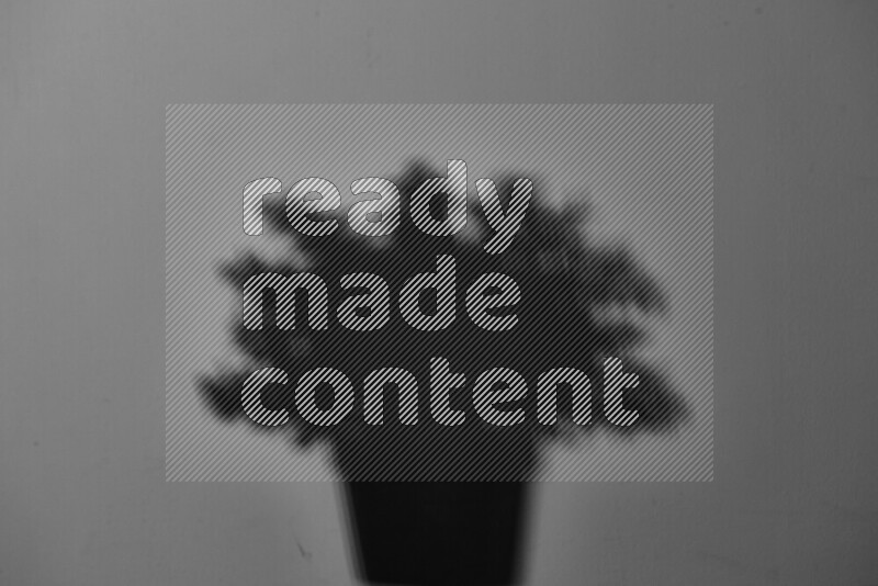 يظهر ضوء غوبو خافت ظلال أوراق نبات تسقط على سطح ناعم