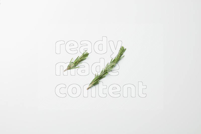 Two fresh rosemary sprigs on white background