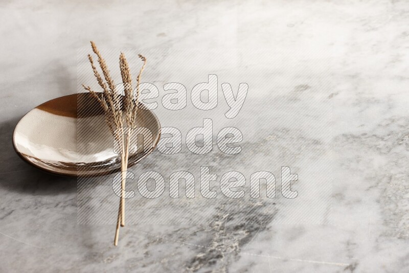Wheat stalks on multicolored pottery plate on grey marble background