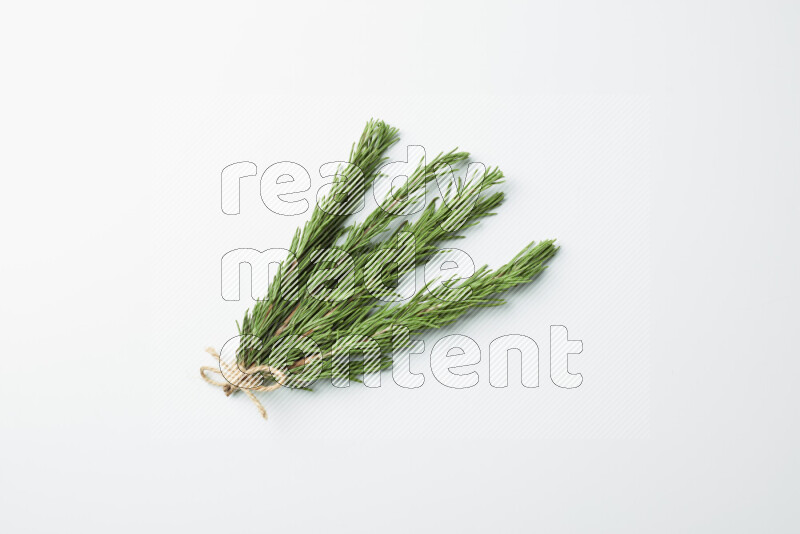 Multi fresh rosemary sprigs on white background