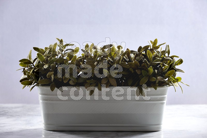 Multiable Artificial Plants in White Pot on Light Grey Marble Flooring 15 degree angle