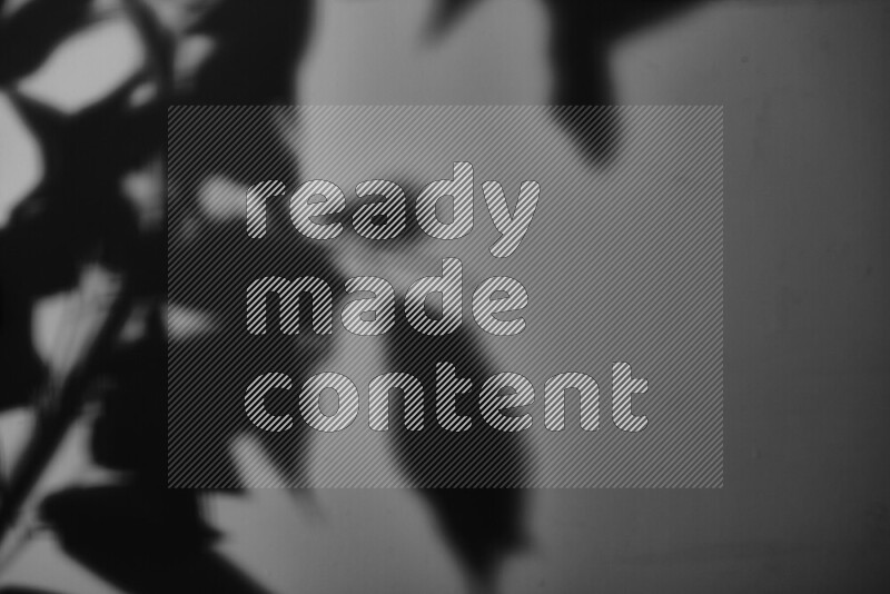 A delicate gobo light projects the silhouette of plant leaves onto a smooth surface