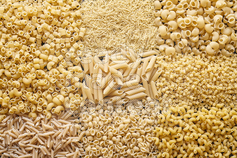 9 types of pasta filling the frame