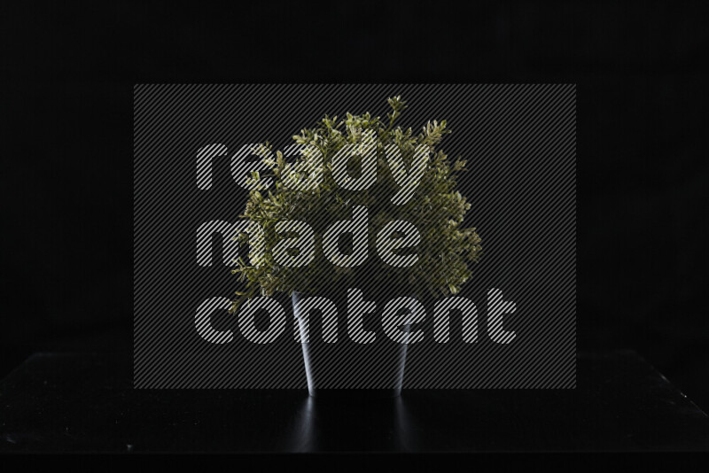 Plastic potted plant with rim light against black background