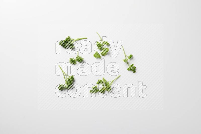 Scattered fresh curly parsley leaves on white background