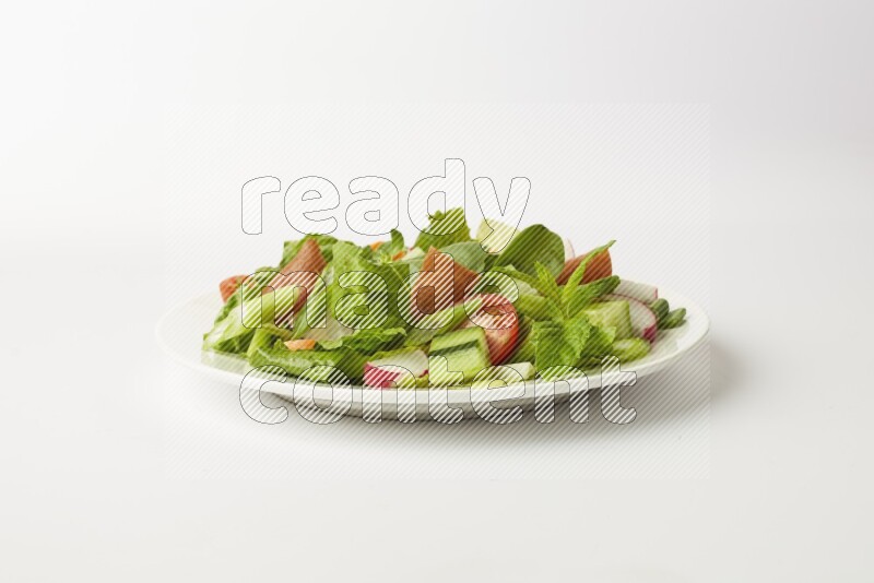 fattoush salad in a white plate direct on a white background