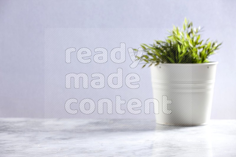 Artificial Plant in White pot (out of focus background) on Light Grey Marble Flooring 15 degree angle