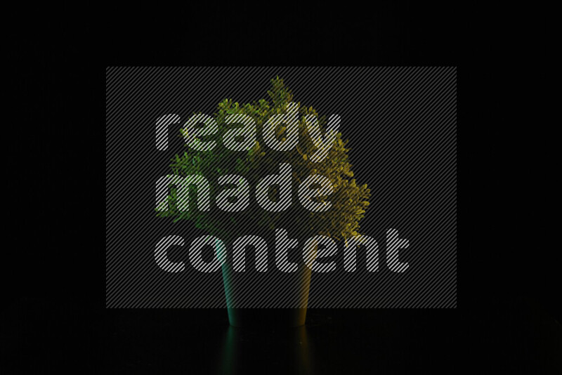 Plastic potted plant with colored rim light against black background