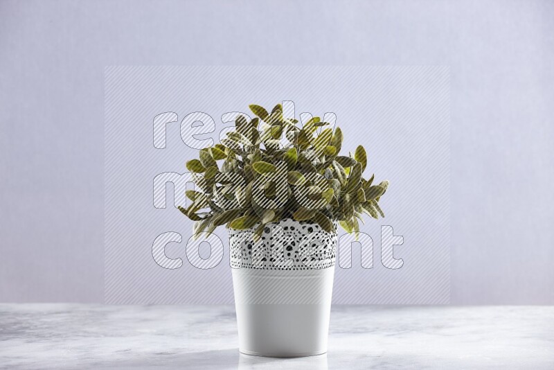 Green artificial plant in white decorative pot on grey marble background