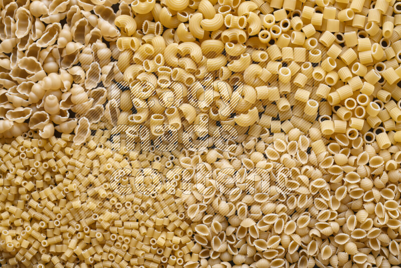 5 types of pasta filling the frame