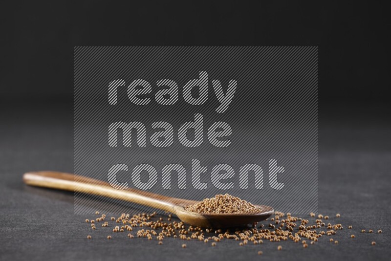 ملعقة خشبية كبيرة ممتلئة ببذور الخردل علي خلفية سوداء