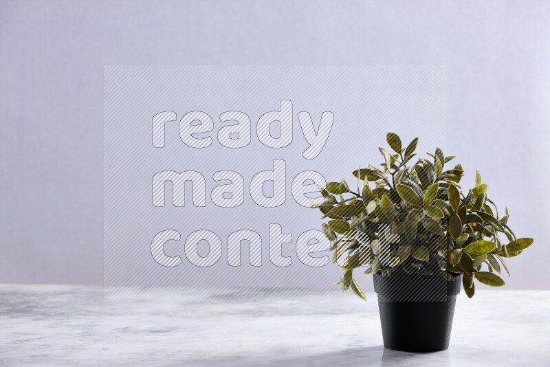 Green artificial plant in black pot on grey marble background