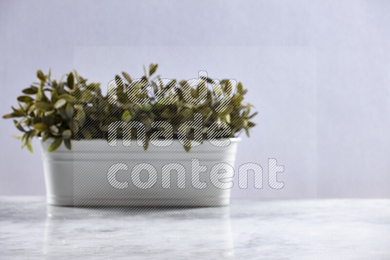 Artificial plant in white pot on grey marble background