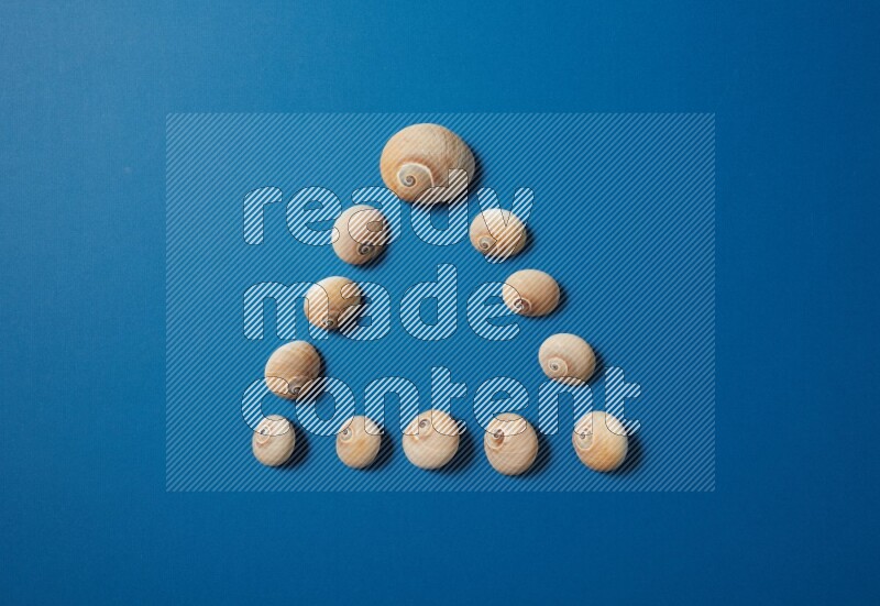 top view shot of seashells arrangement on blue background