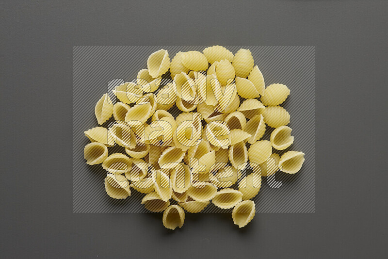 Shells pasta on grey background