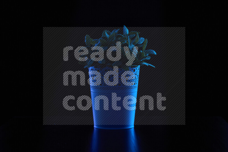 Plastic potted plant with colored rim light against black background