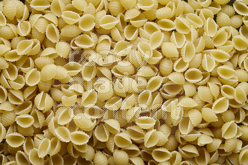 Shells pasta on grey background