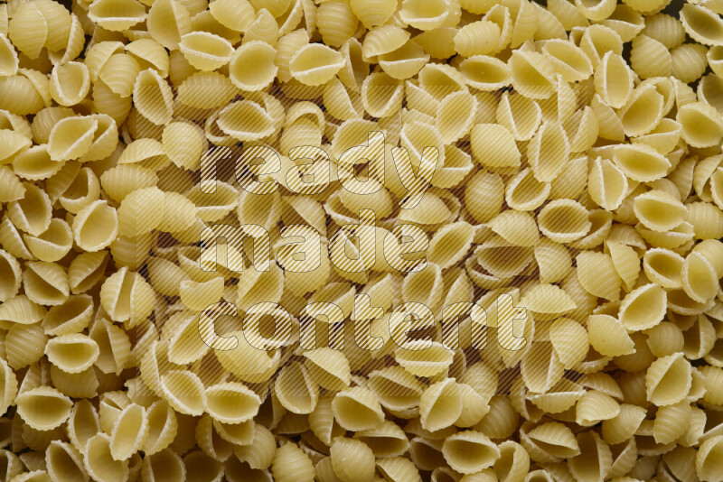 Shells pasta on grey background