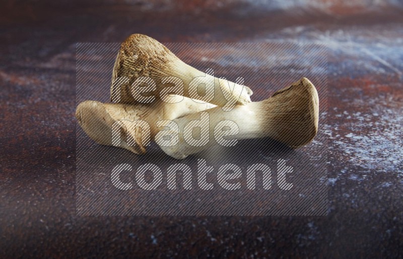 45 degre king oysters mushrooms on a textured reddish rustic metal background