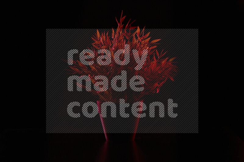 Plastic potted plant with colored rim light against black background