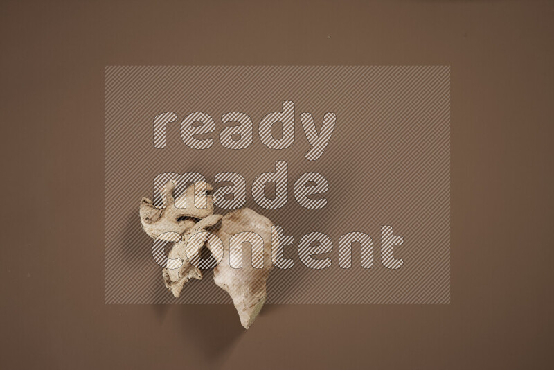 بهارات كاملة متنوعة تتضمن زنجبيل طازج ومجفف، أعواد قرفة، هيل، أصابع كركم، قرنفل، يانسون نجمي على خلفية بيج