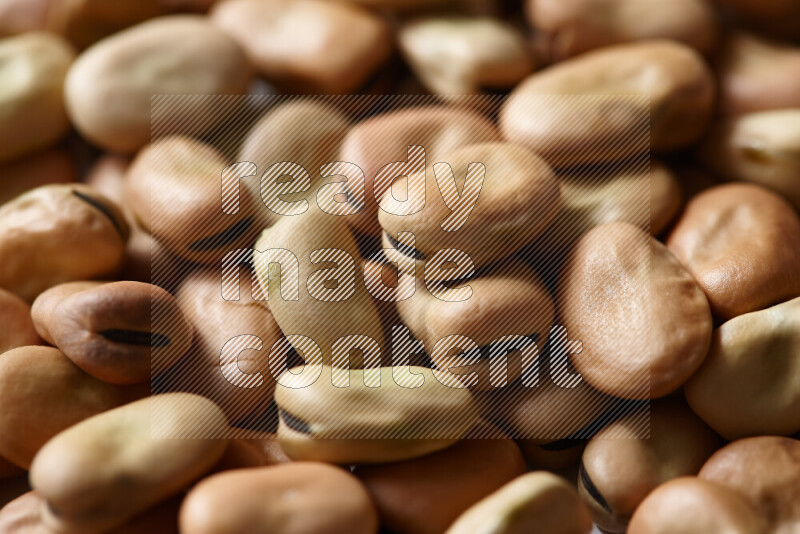 Fava beans on white background