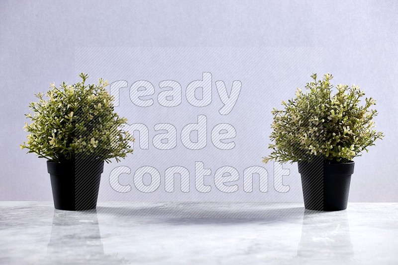 Two Thyme Artificial Plants in black pot on Light Grey Marble Flooring 15 degree angle