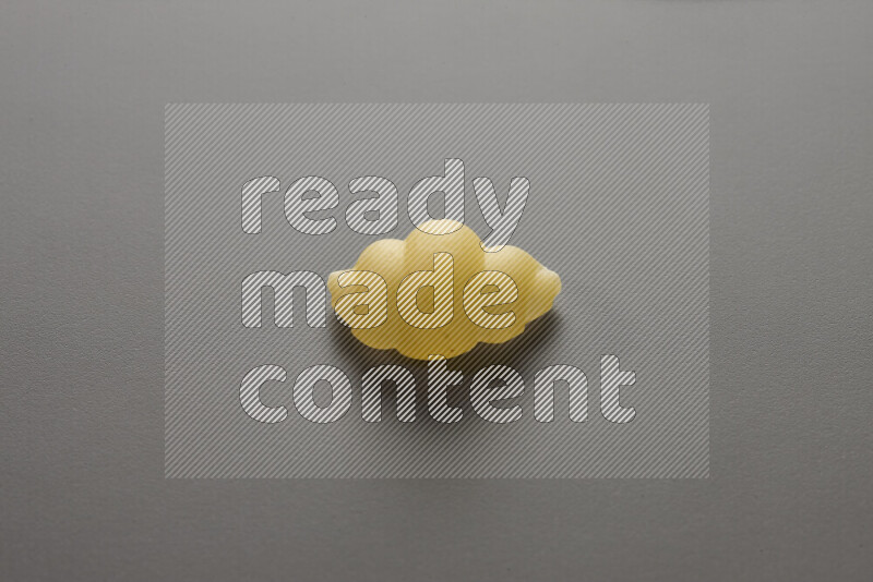 Snails pasta on grey background