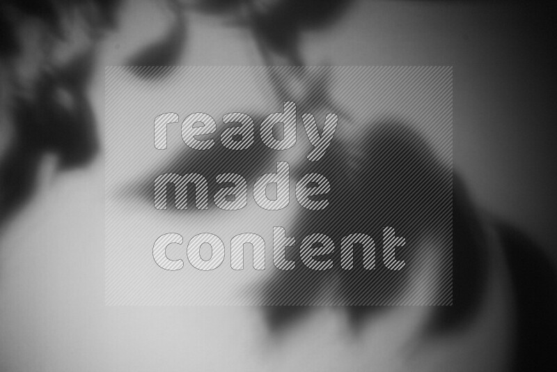 يظهر ضوء غوبو خافت ظلال أوراق نبات تسقط على سطح ناعم