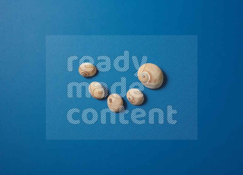 top view shot of seashells arrangement on blue background