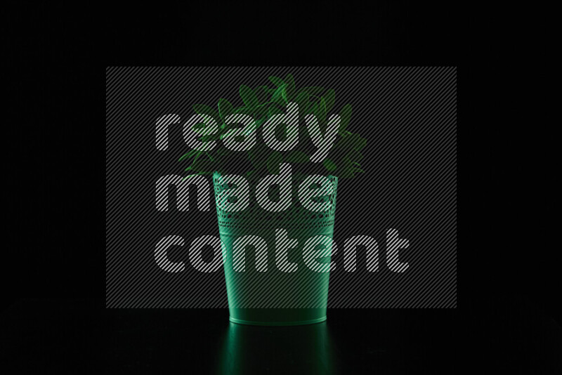 Plastic potted plant with colored rim light against black background