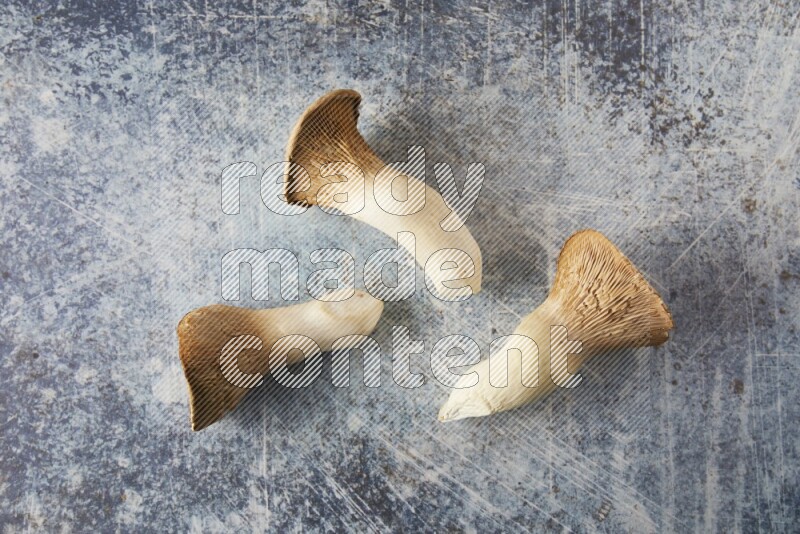 Fresh King oysters mushrooms topview  on a blue textured background