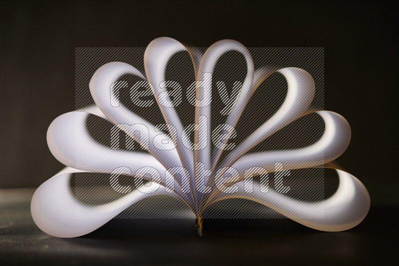 An abstract art piece displaying smooth curves in grey gradients created by colored light