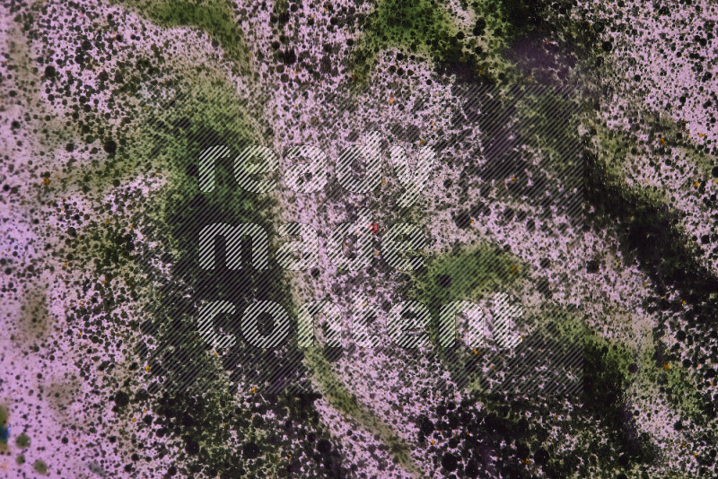 لقطات مقربة لقطرات ألوان مائية خضراء على سطح الزيت على خلفية وردية