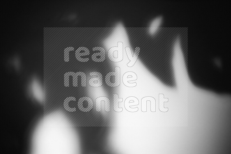 A delicate gobo light projects the silhouette of plant leaves onto a smooth surface