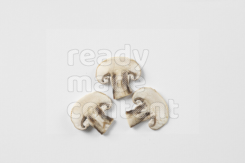 Mushrooms on white background