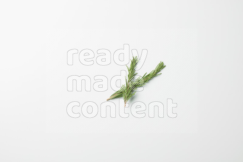 Two fresh rosemary sprigs on white background