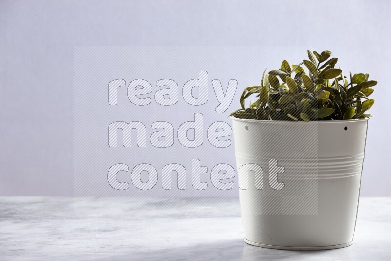 Green artificial plant in white pot on grey marble background