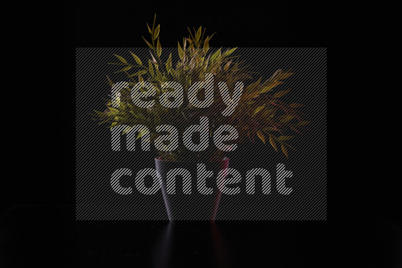 Plastic potted plant with colored rim light against black background