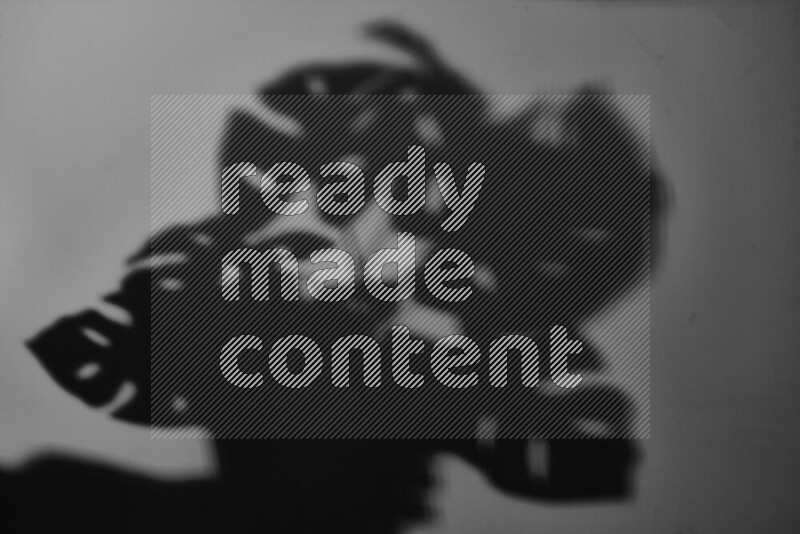 A delicate gobo light projects the silhouette of plant leaves onto a smooth surface