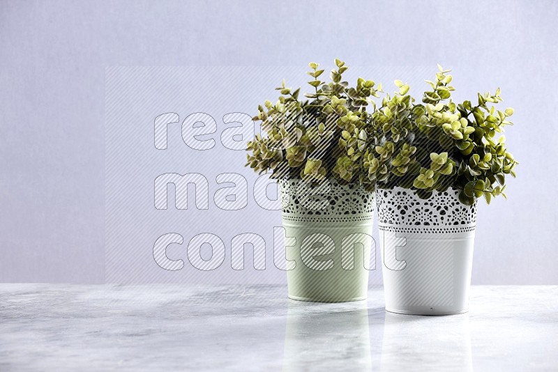 Two Artificial Plants in decorative pots on Light Grey Marble Flooring 15 degree angle