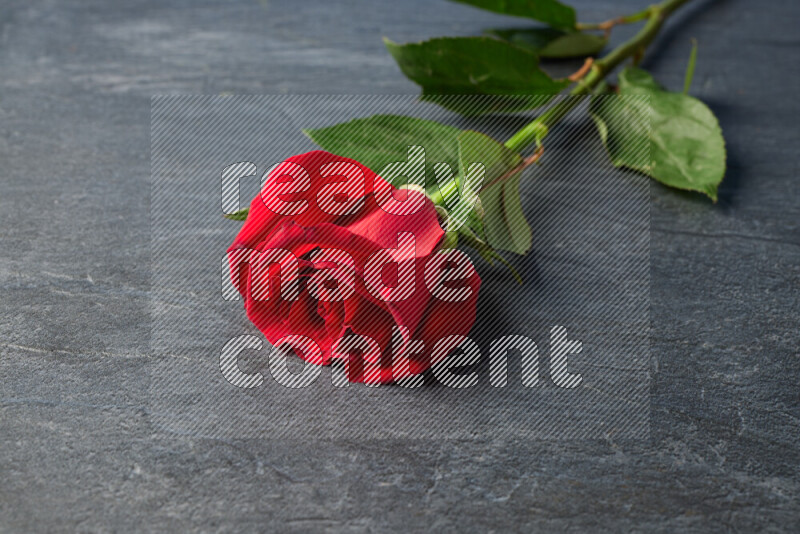 A single red rose with vibrant green leaves on black marble background