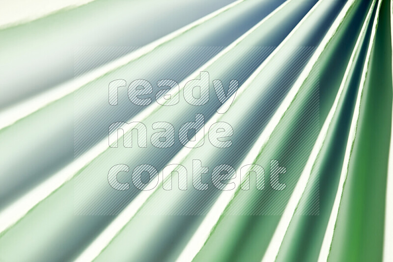 صورة تقدم نمط تجريدي ورقي من الخطوط المائلة بدرجات اللون الأخضر والأبيض