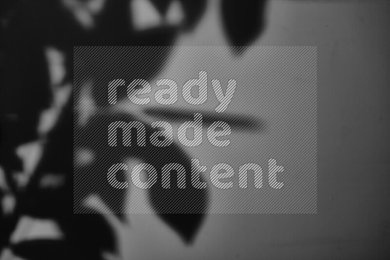 يظهر ضوء غوبو خافت ظلال أوراق نبات تسقط على سطح ناعم