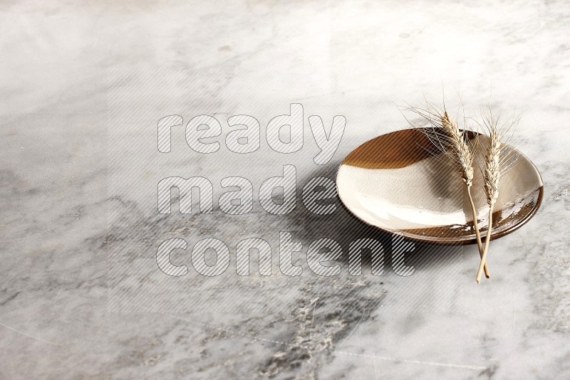 Wheat stalks on Multicolored Pottery Plate on grey marble flooring, 45 degree angle