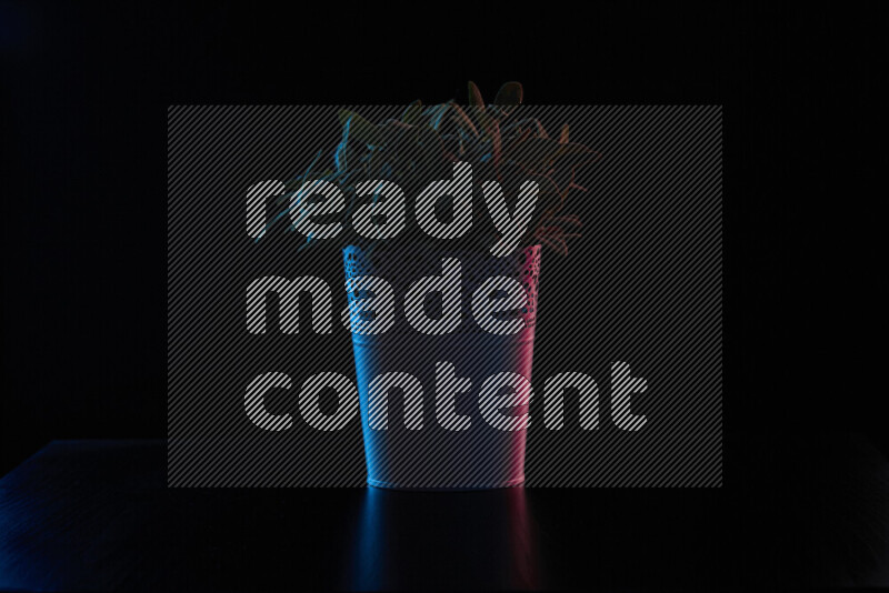 Plastic potted plant with colored rim light against black background