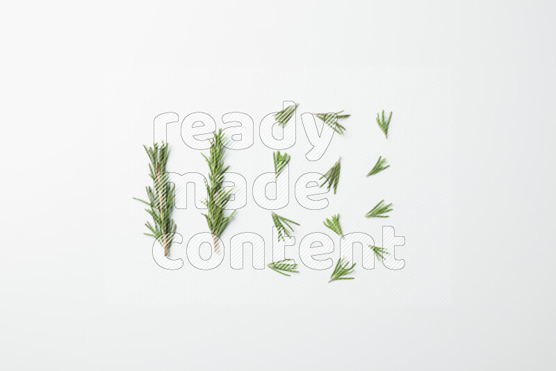 Multi fresh rosemary sprigs on white background