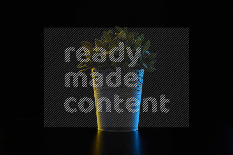 Plastic potted plant with colored rim light against black background